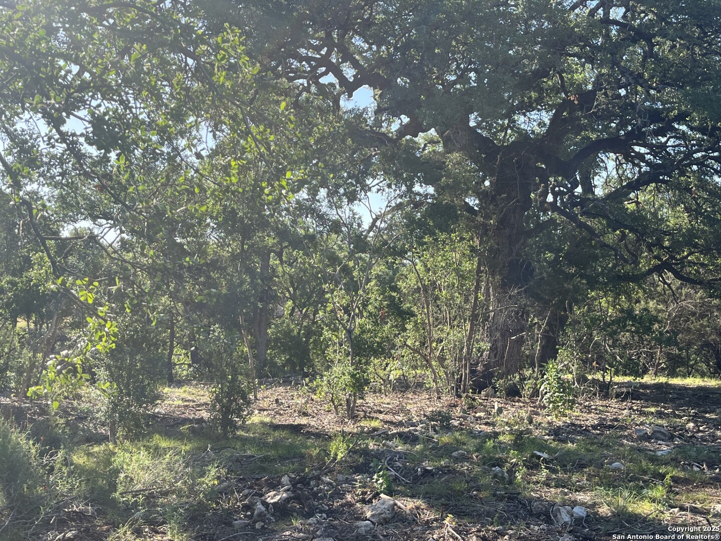 0 Rolling Creek Spring Branch, TX 78070 - Photo 21 of 22 a backyard of a house with large trees