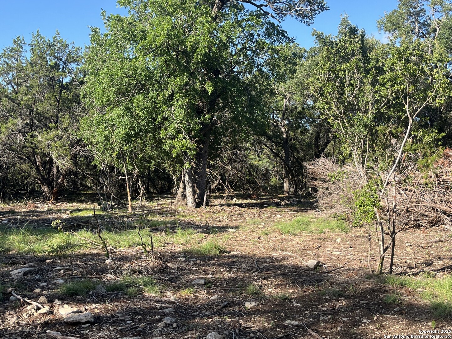 0 Rolling Creek Spring Branch, TX 78070 - Photo 22 of 22 a view of a yard with a tree
