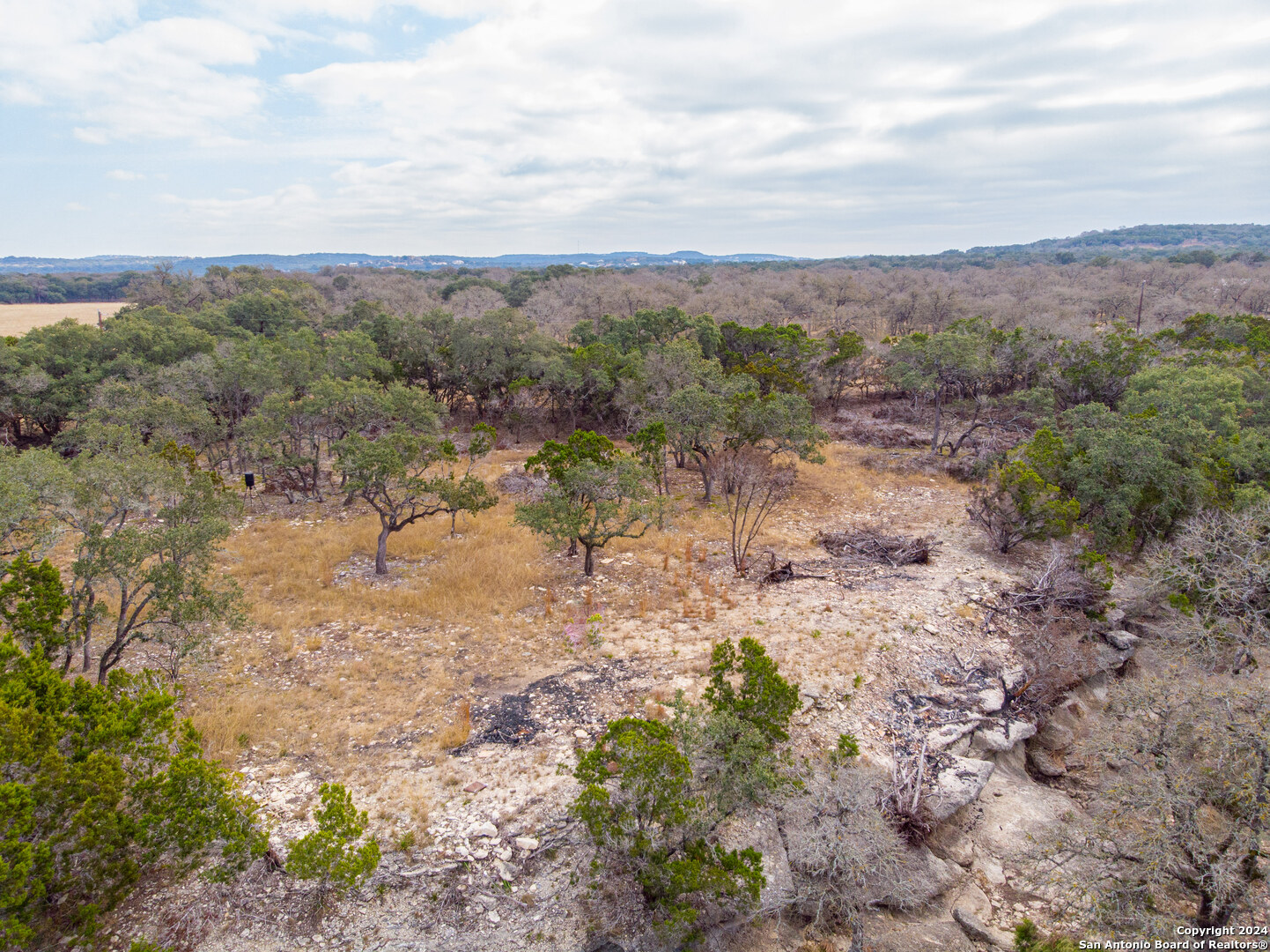0 Rolling Creek Spring Branch, TX 78070 - Photo 8 of 22 a view of a yard with a tree