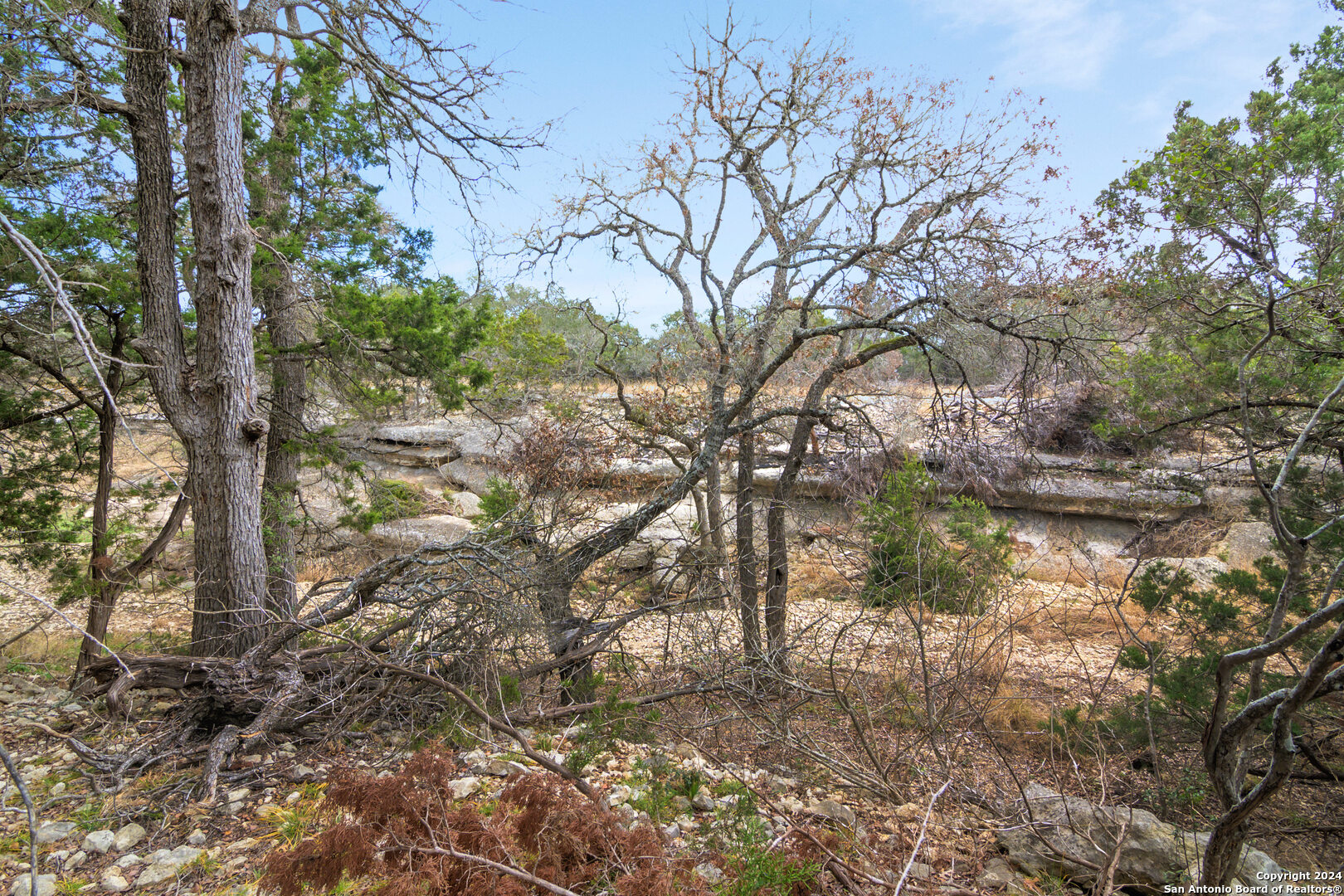 0 Rolling Creek Spring Branch, TX 78070 - Photo 9 of 22 a backyard of a house with lots of trees