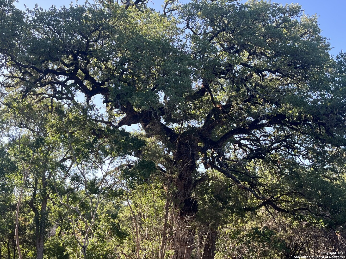 0 Rolling Creek Spring Branch, TX 78070 - Photo 10 of 22