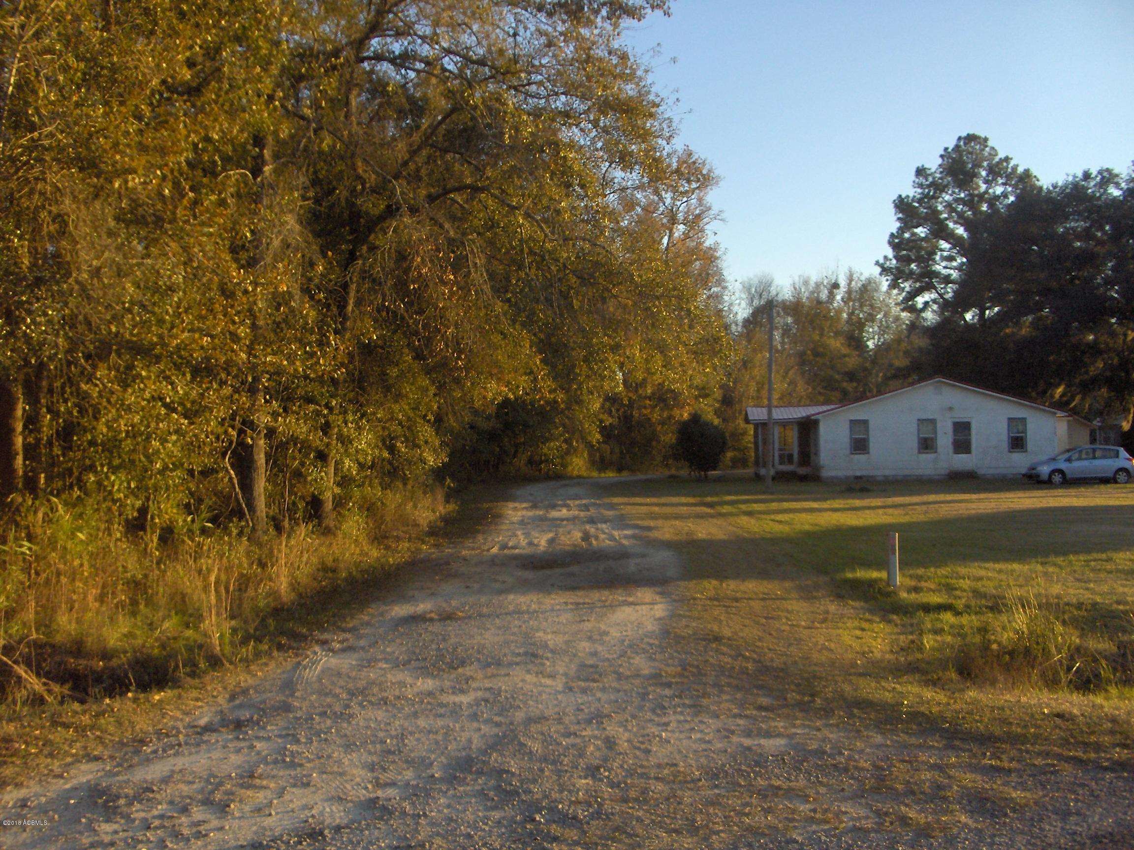 0 Brown Road Pineland, SC 29943 - Photo 3 of 9 HPIM7071