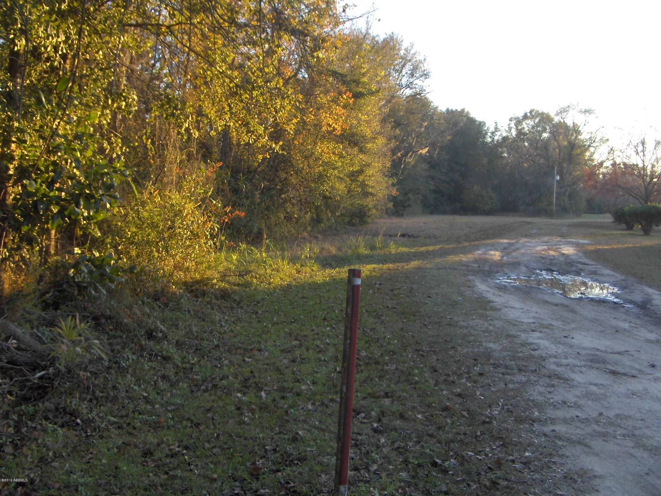 0 Brown Road Pineland, SC 29943 - Photo 4 of 9 HPIM7073
