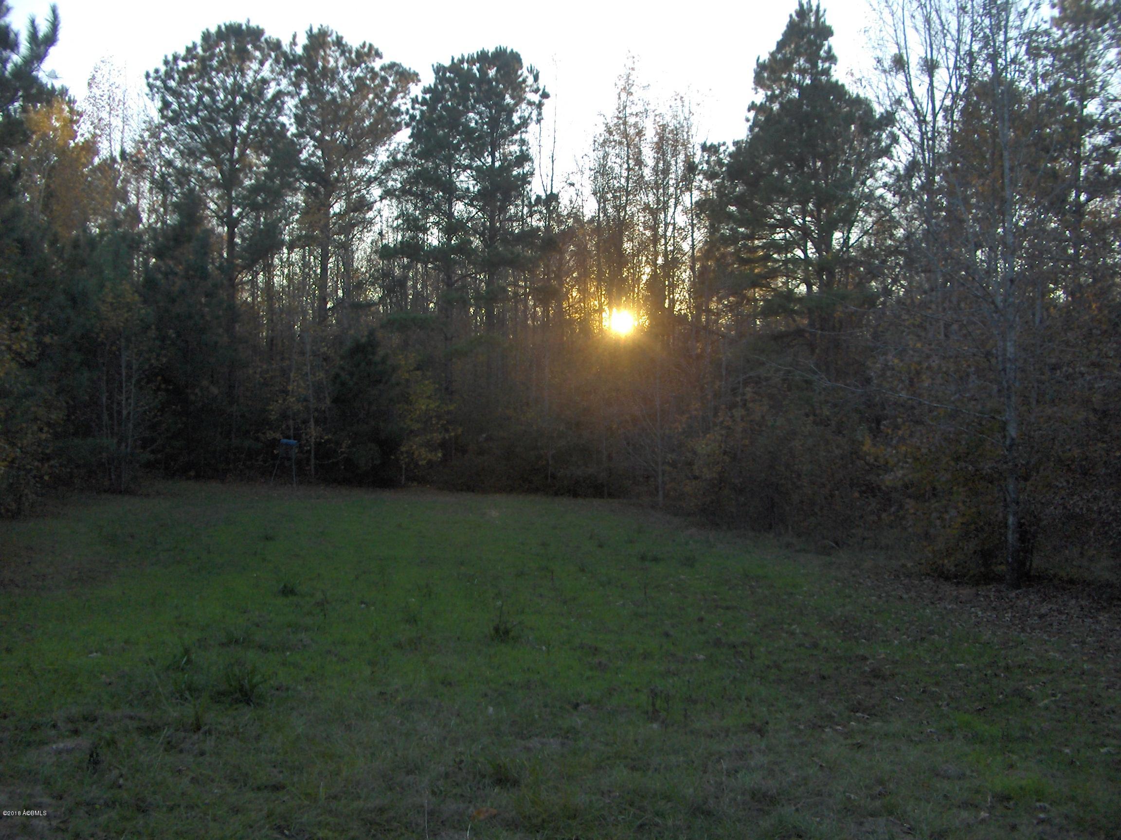 0 Brown Road Pineland, SC 29943 - Photo 6 of 9 HPIM7069