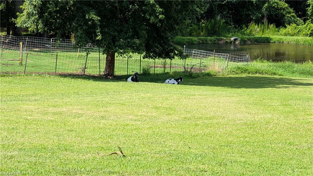 7205 Riley Lane Climax, NC 27233 - Photo 14 of 46 HUGE back yard for goats, chickens, cows, horses and ducks