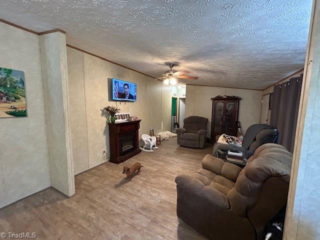 7205 Riley Lane Climax, NC 27233 - Photo 27 of 46 Living room