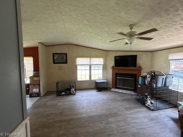 7205 Riley Lane Climax, NC 27233 - Photo 30 of 46 Family room with fireplace