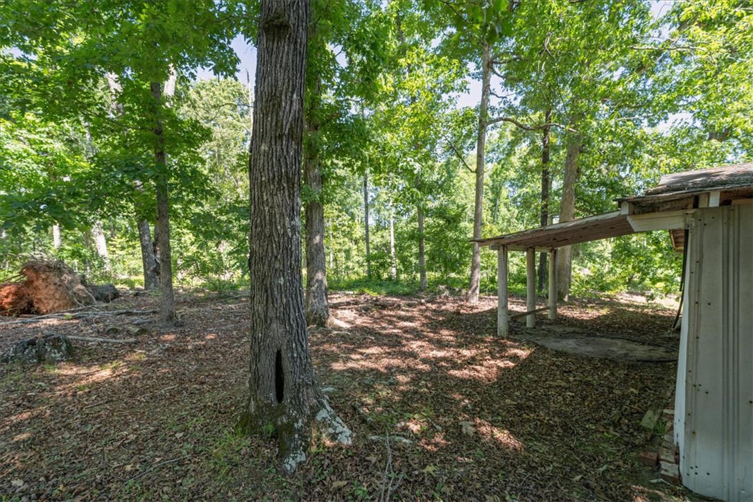 304 Shaw Road Honea Path, SC 29654 - Photo 37 of 39 This serene wooded lot offers a private setting, perfect for quiet enjoyment and outdoor living.