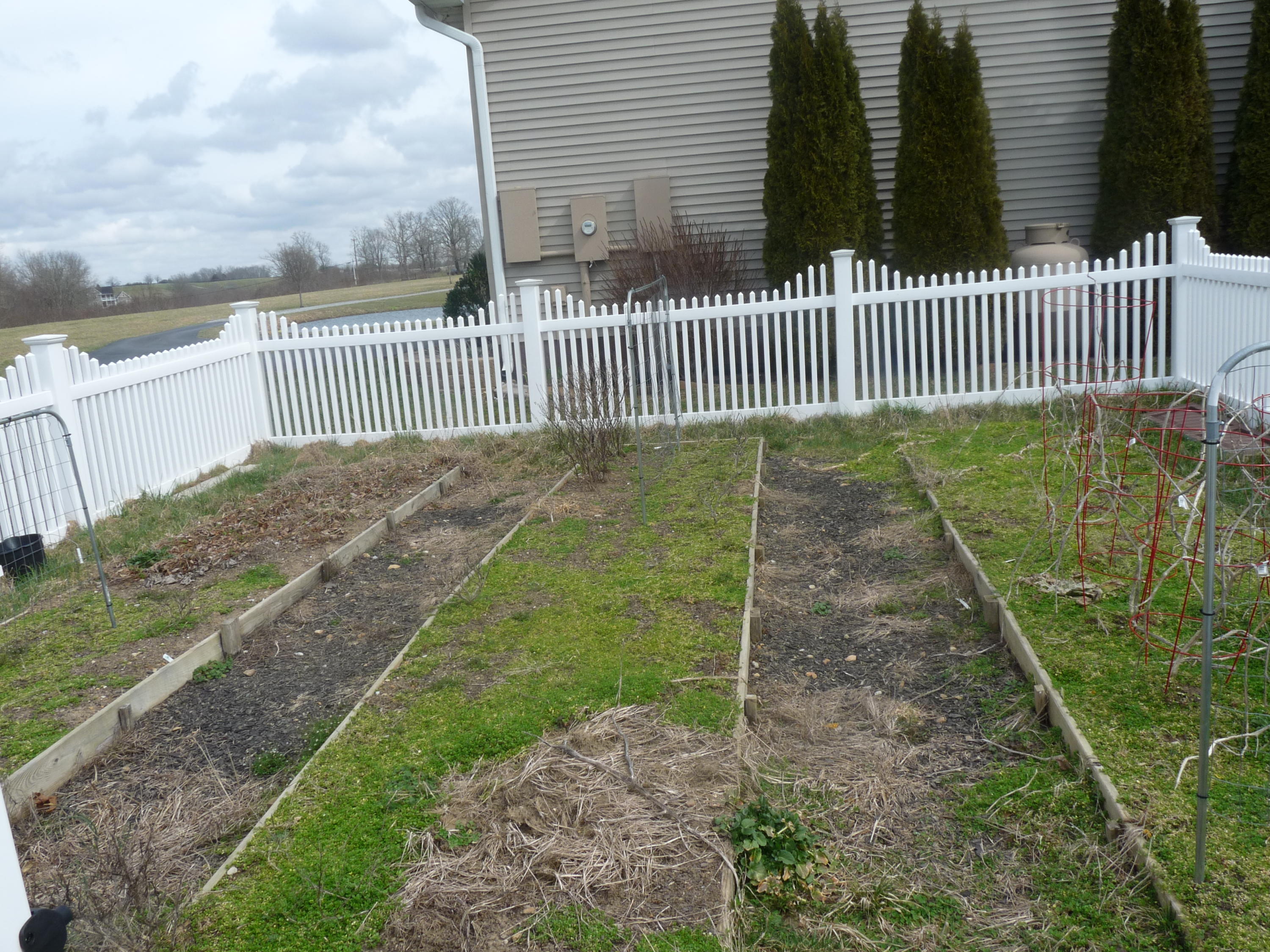 5668 Dunbar Road Crossville, TN 38572 - Photo 29 of 34 P1130253