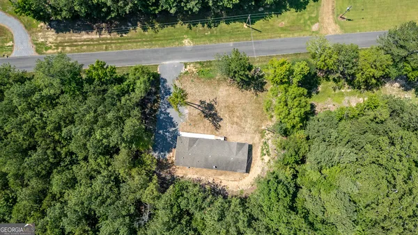 a view of a garden with a lake