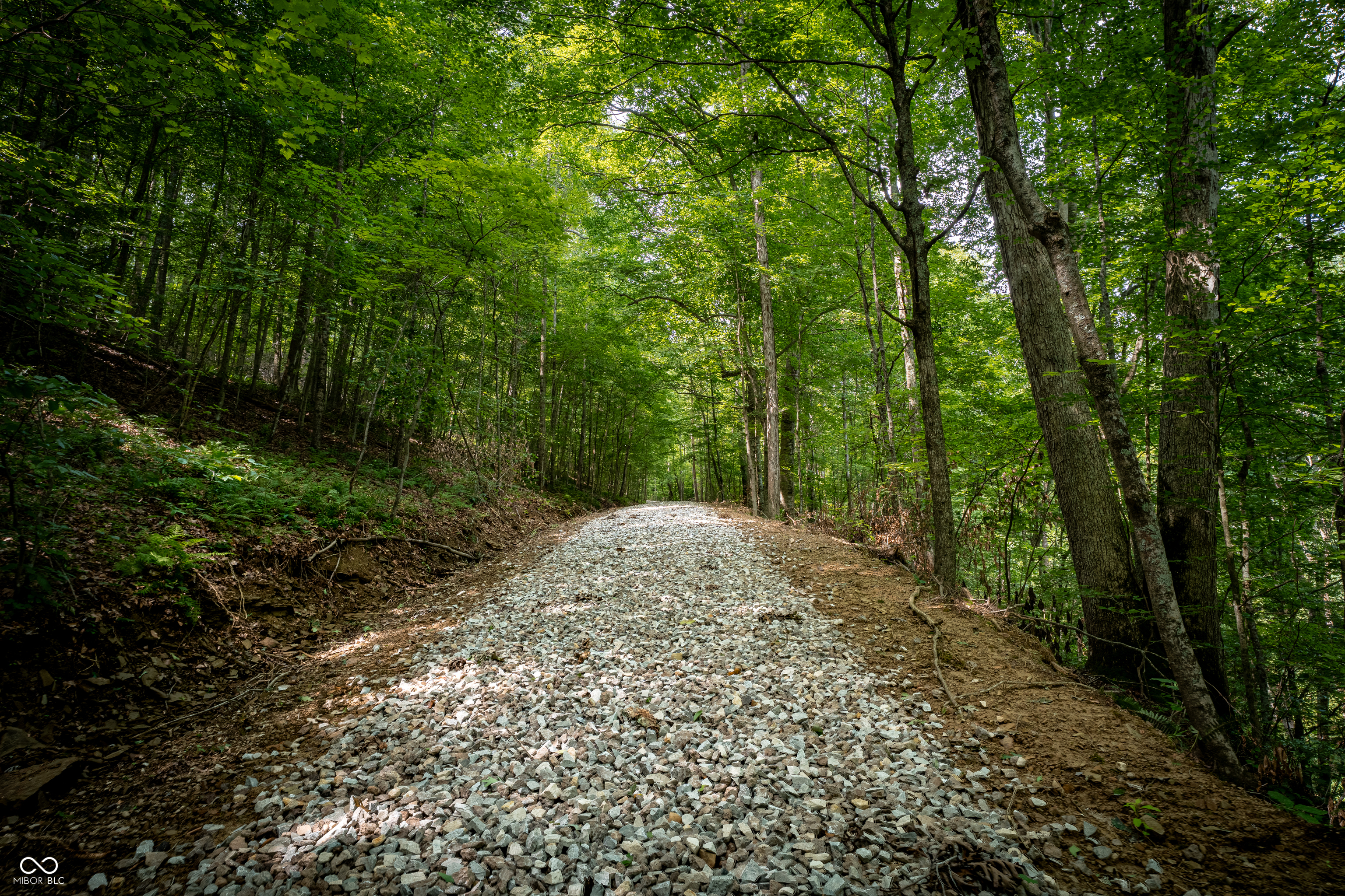 0 Salt Creek Road Nashville, IN 47448 - Photo 8 of 17