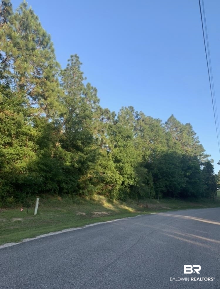 Lot 38 Erin Pond Road Seminole, AL 36574 - Photo 15 of 15