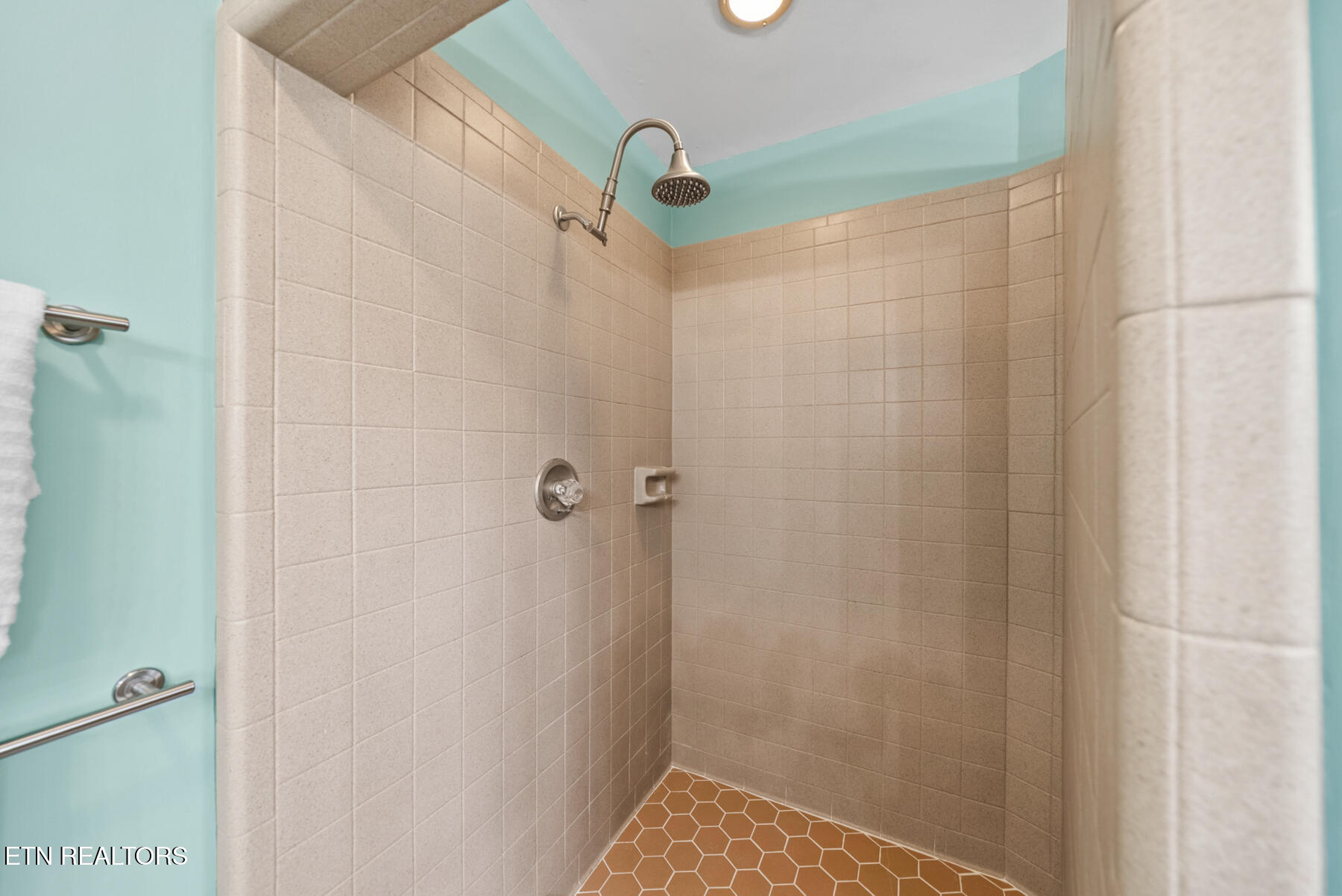 166 Baltusrol Road Crossville, TN 38558 - Photo 28 of 57 Main Bath Shower