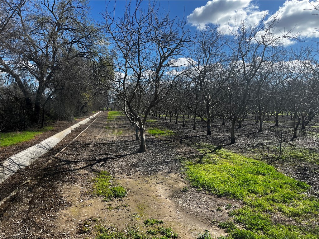 3900 Stephens Road Corning, CA 96021 - Photo 11 of 15