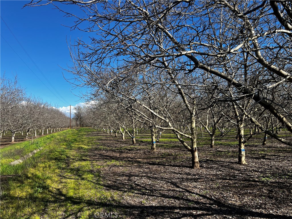3900 Stephens Road Corning, CA 96021 - Photo 12 of 15
