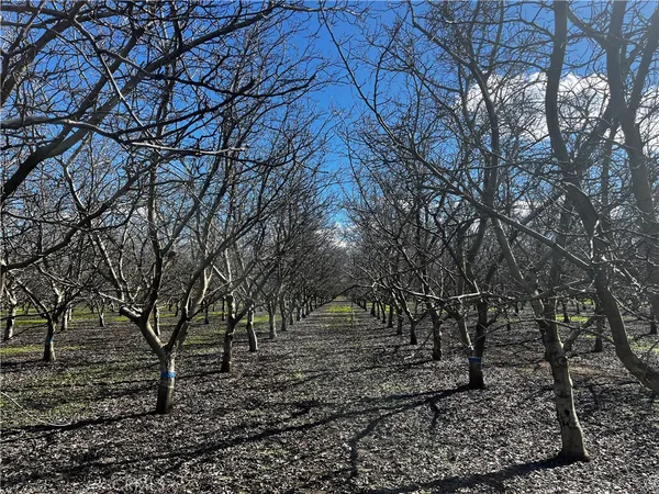 $635,000 | 3900 Stephens Road, Corning, CA 96021