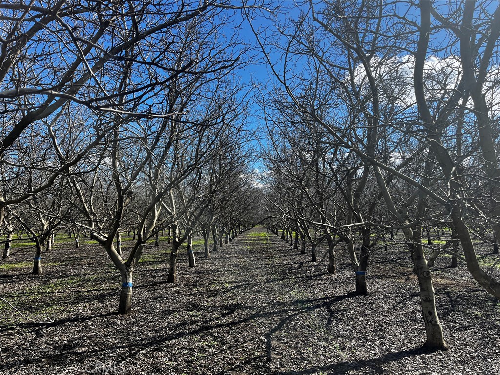 3900 Stephens Road Corning, CA 96021 - Photo 13 of 15