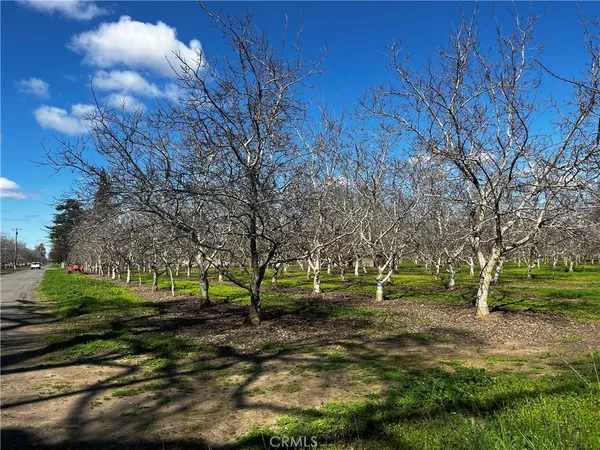 $635,000 | 3900 Stephens Road, Corning, CA 96021