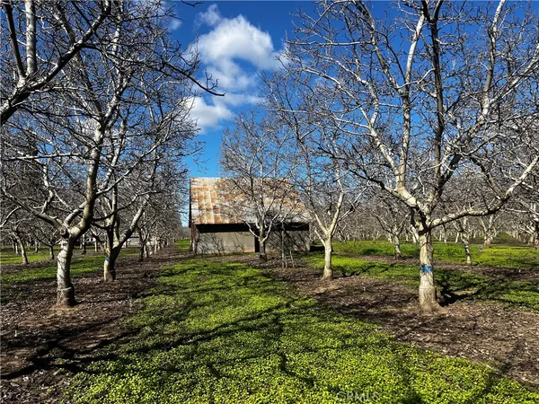 $635,000 | 3900 Stephens Road, Corning, CA 96021