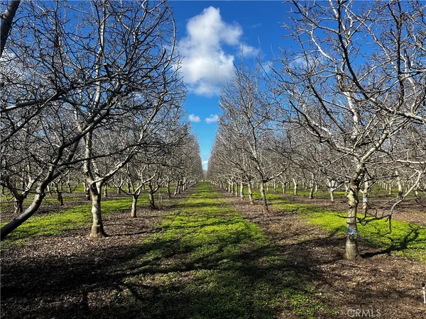 $635,000 | 3900 Stephens Road, Corning, CA 96021