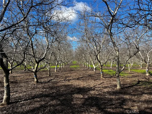 $635,000 | 3900 Stephens Road, Corning, CA 96021