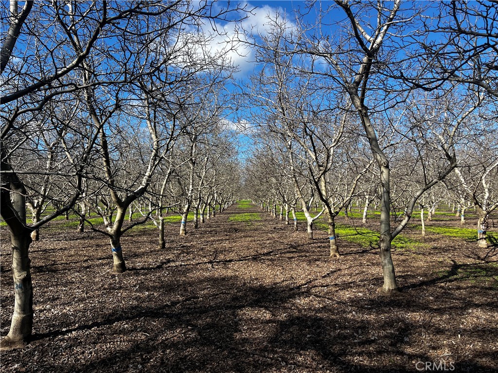 3900 Stephens Road Corning, CA 96021 - Photo 8 of 15