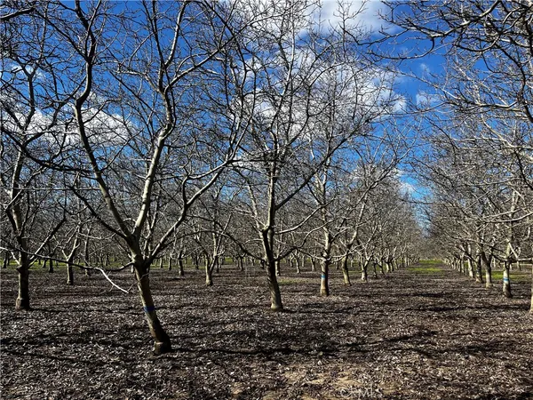 $635,000 | 3900 Stephens Road, Corning, CA 96021