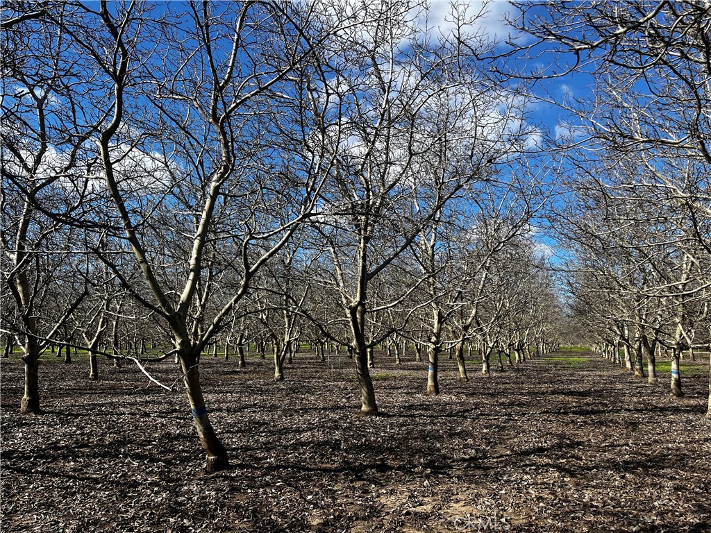 3900 Stephens Road Corning, CA 96021 - Photo 10 of 15