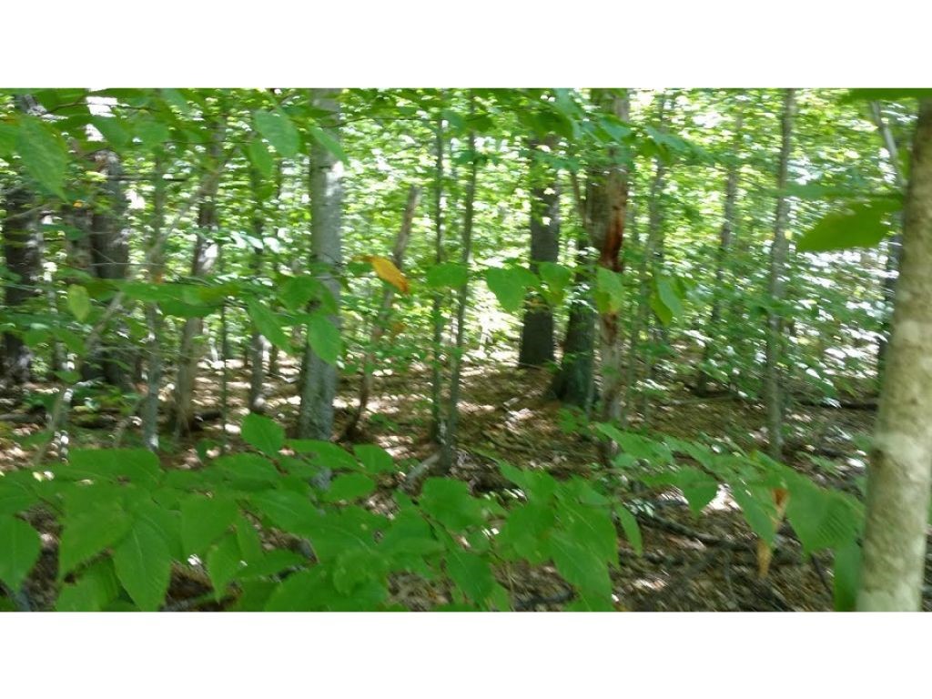 Lot 56 Cooke Road Center Barnstead, NH 03225 - Photo 2 of 4