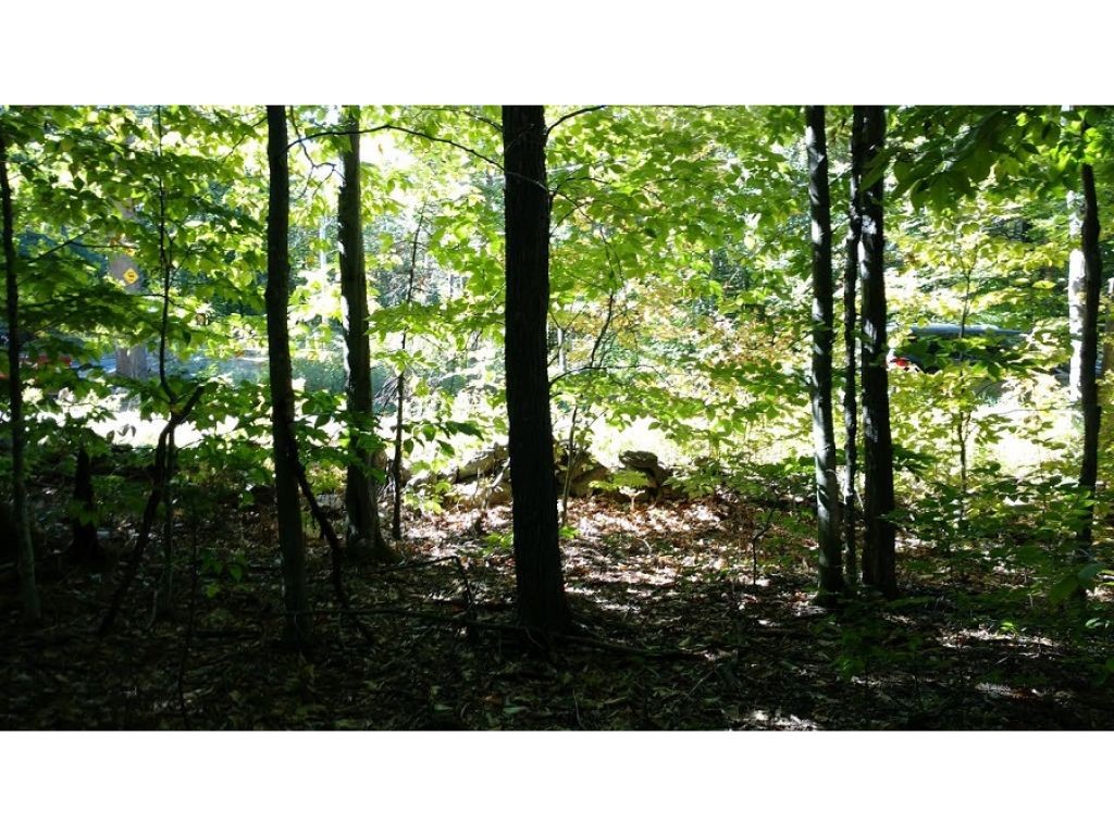 Lot 56 Cooke Road Center Barnstead, NH 03225 - Photo 4 of 4