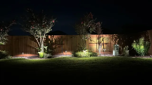 a garden with trees in front of it