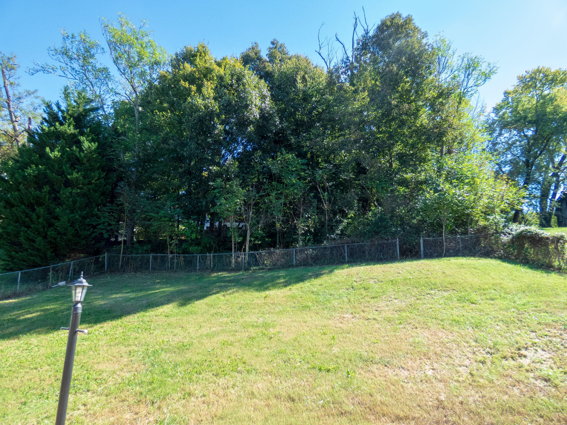 712 Taylor Road Knoxville, TN 37920 - Photo 3 of 27 backyard