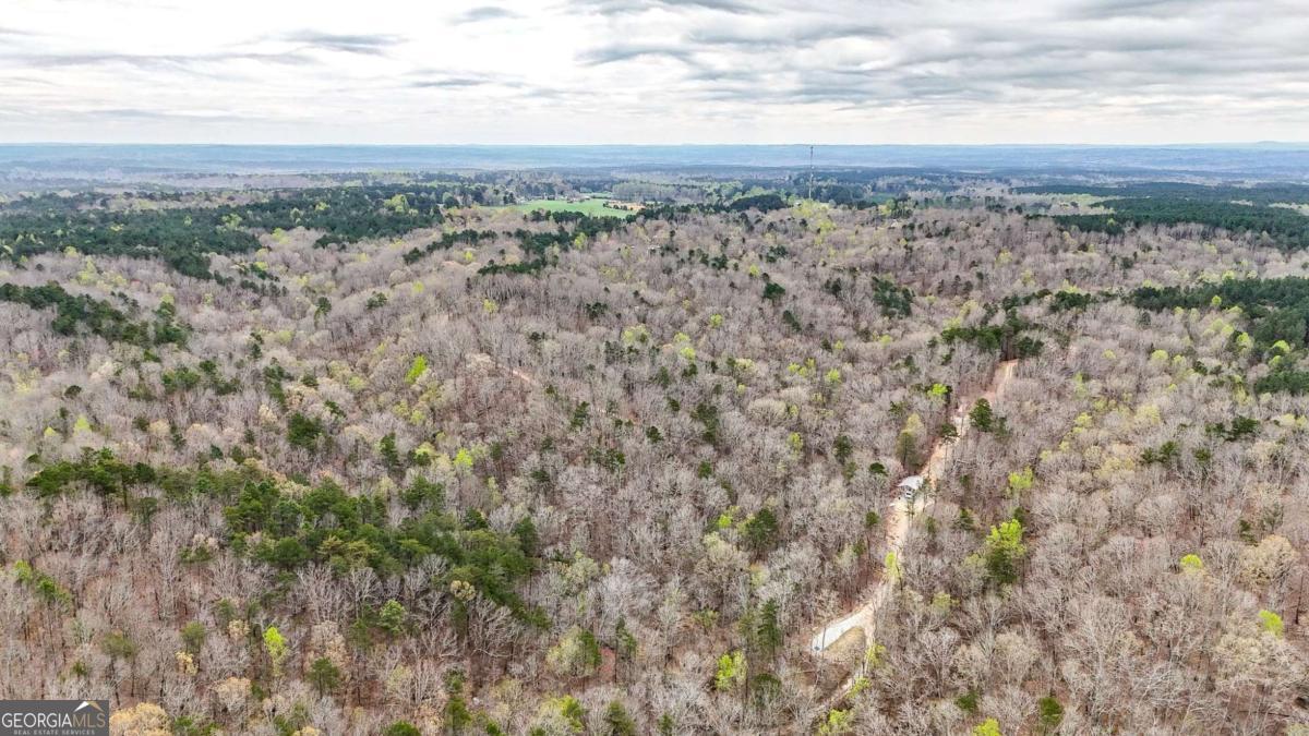0 Felton Rockmart Road Buchanan, GA 30113 - Photo 40 of 47