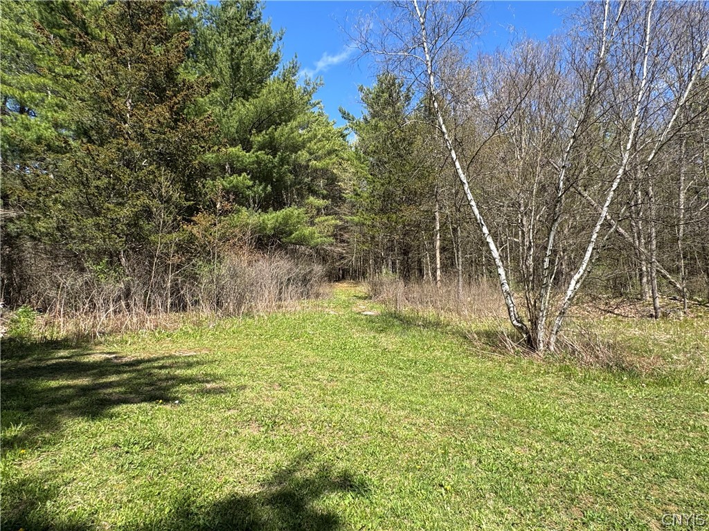 27415 Limestone Road Alexandria, NY 13679 - Photo 41 of 44