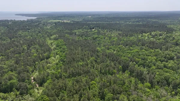 an aerial view of residential houses with outdoor space and trees