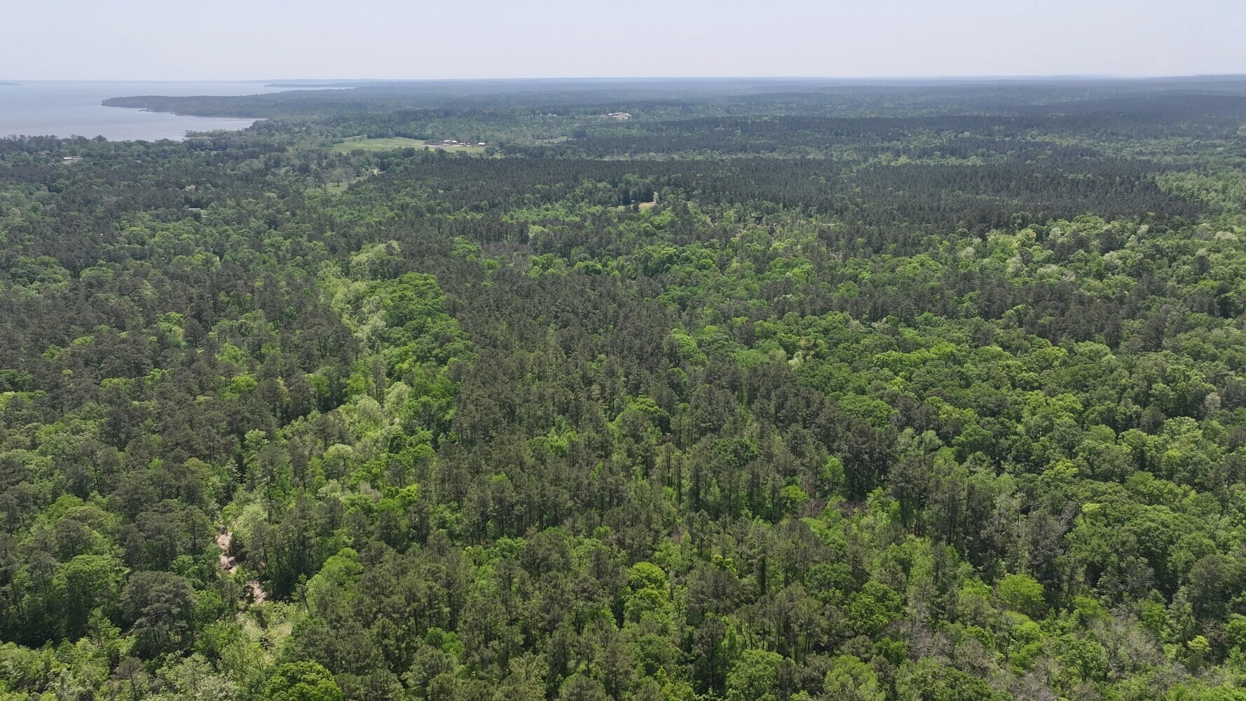 P#3-tbd P Point Blank, TX 77364 - Photo 14 of 19 a view of a city with lush green forest