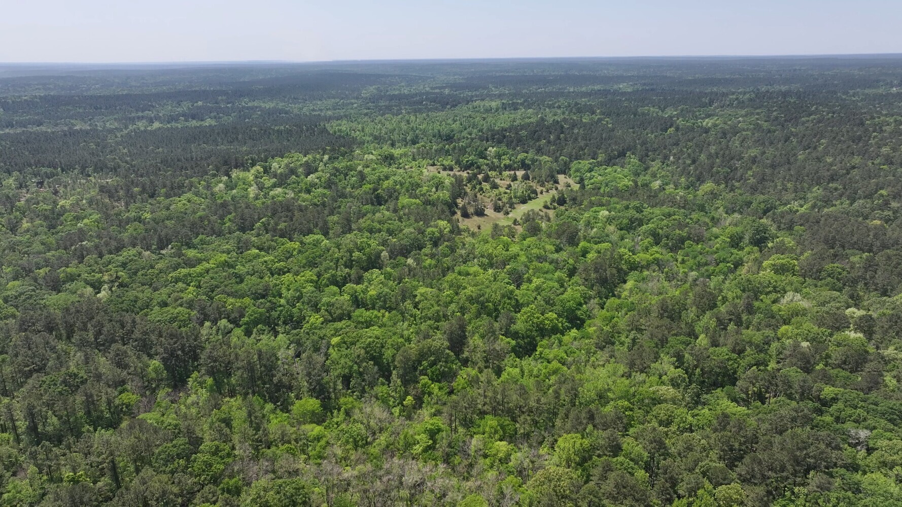 P#3-tbd P Point Blank, TX 77364 - Photo 18 of 19 a view of a big yard with lots of green space
