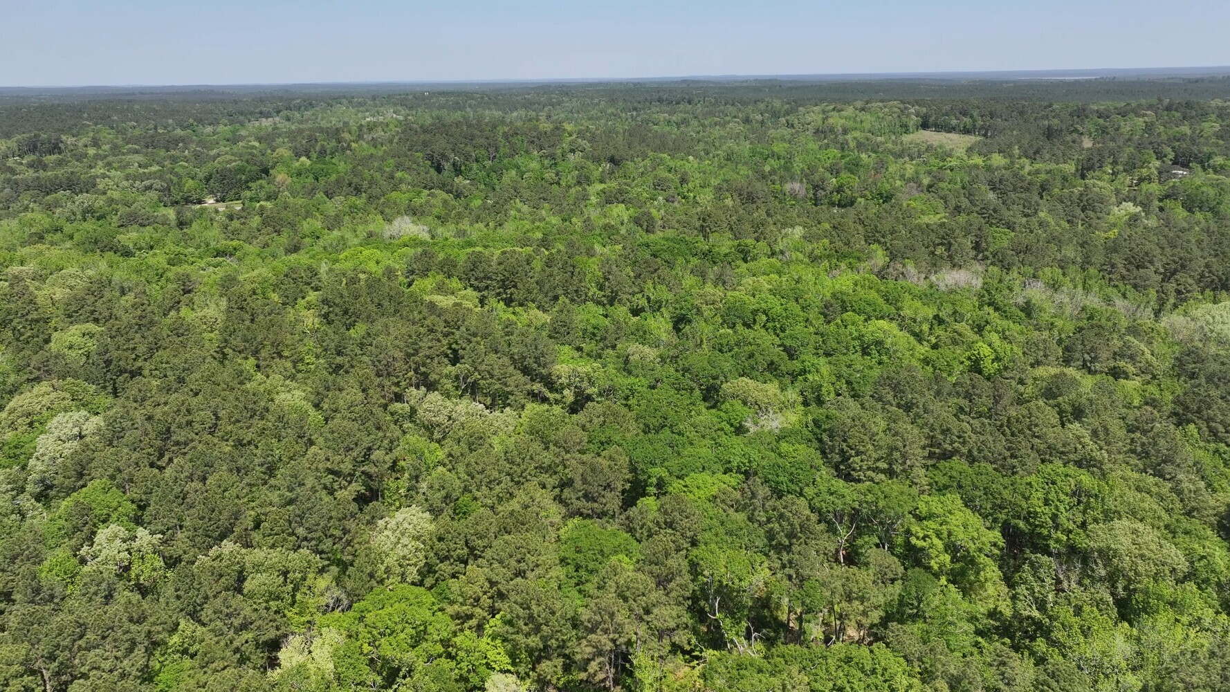 P#3-tbd P Point Blank, TX 77364 - Photo 19 of 19 a view of a green field with lots of bushes