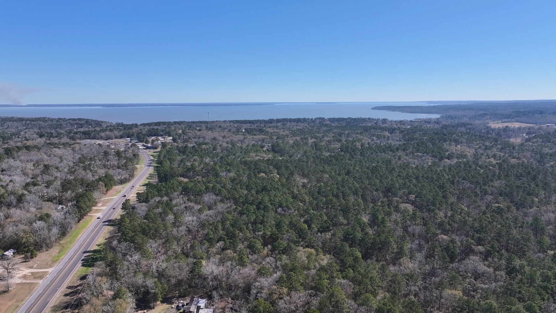 P#3-tbd P Point Blank, TX 77364 - Photo 4 of 19 a view of a large trees with lots of trees