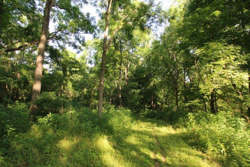 1628 South Galena Road Galena, OH 43021 - Photo 4 of 10