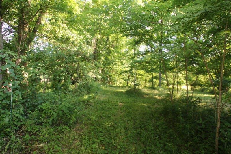 1628 South Galena Road Galena, OH 43021 - Photo 5 of 10