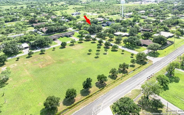 a view of a garden with flowers