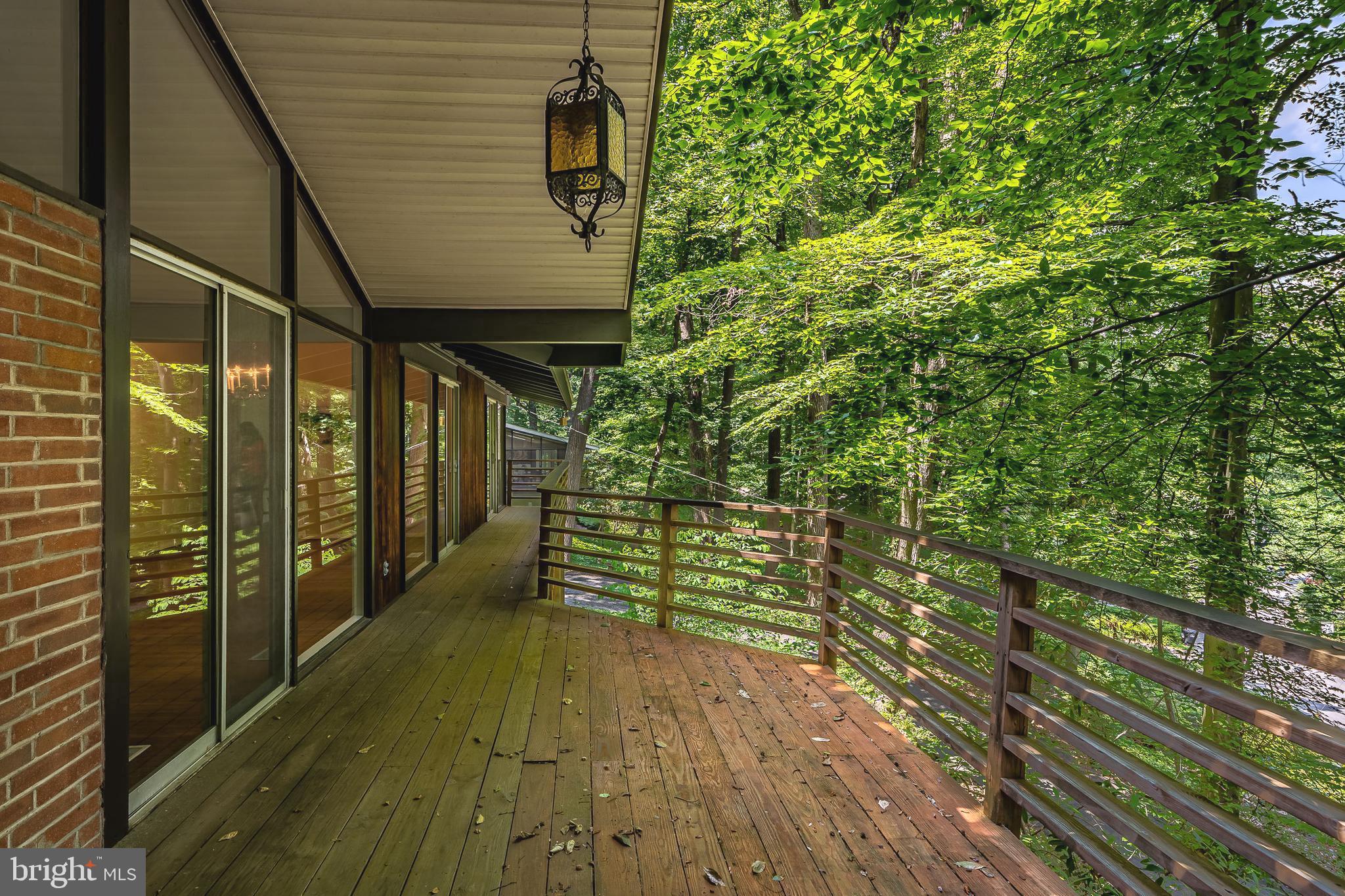 809 Old State Road Berwyn, PA 19312 - Photo 45 of 49 Watch nature all around you