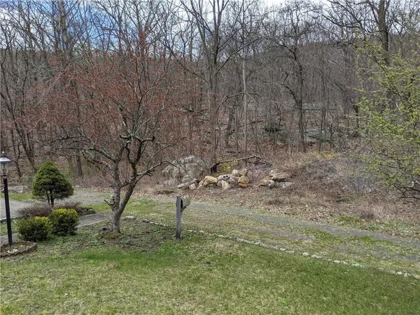 a view of a tree in a yard