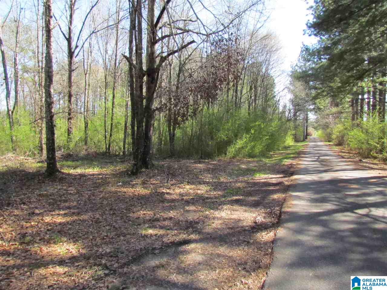 0 Petty Road Odenville, AL 35120 - Photo 5 of 5