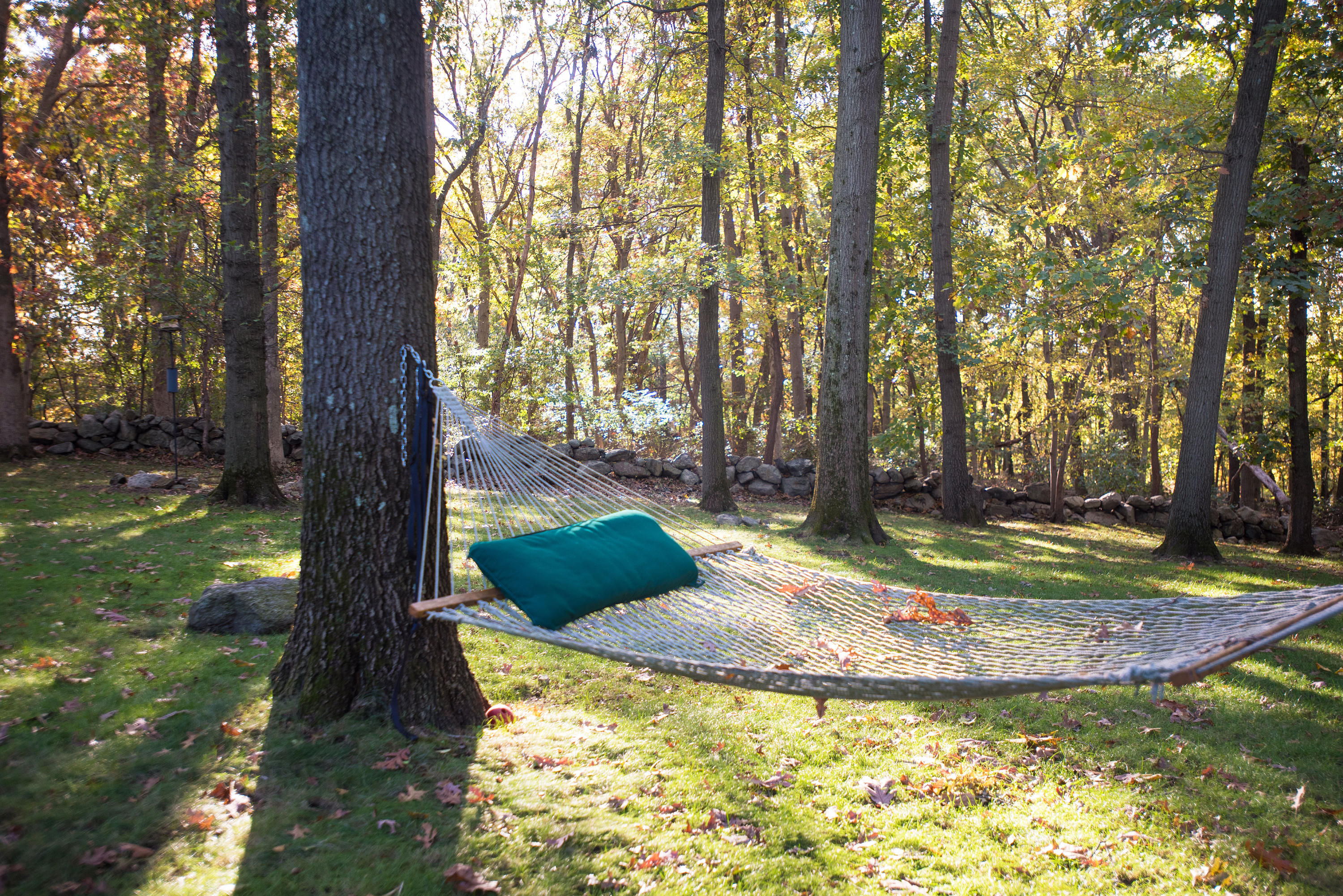 17 Getner Trail, Unit 17 Norwalk, CT 06854 - Photo 29 of 33 a view of a garden with large trees
