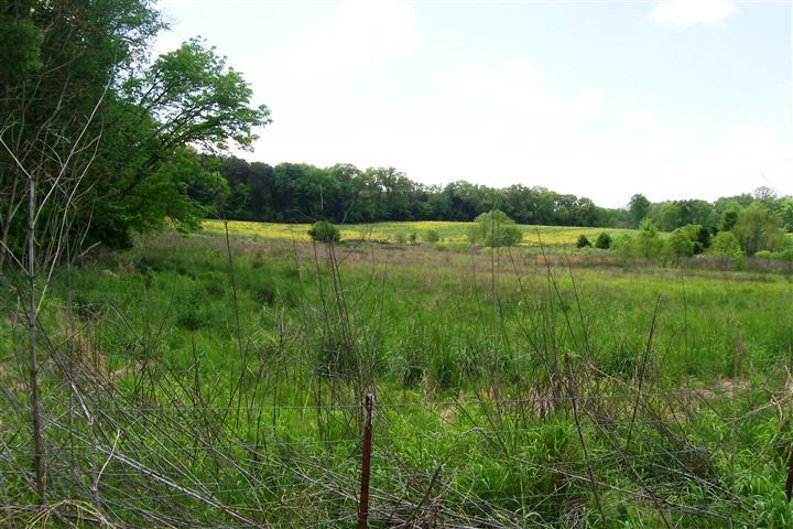 855 Wood Road Walling, TN 38587 - Photo 1 of 22 Gallery Image 1