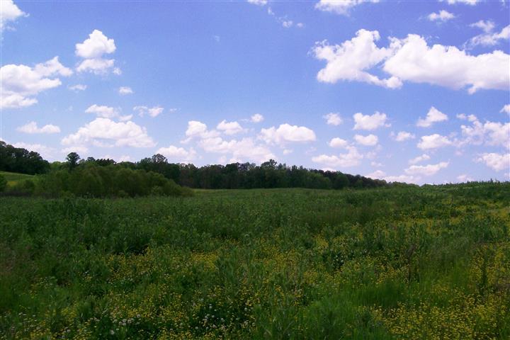 855 Wood Road Walling, TN 38587 - Photo 3 of 22 Gallery Image 3