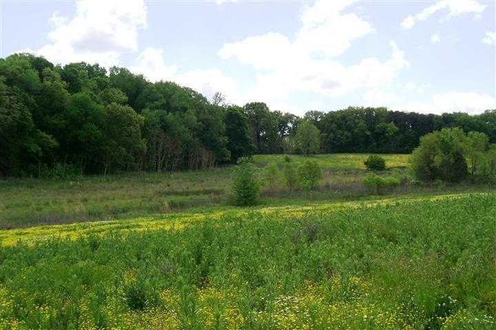 855 Wood Road Walling, TN 38587 - Photo 4 of 22 Gallery Image 4