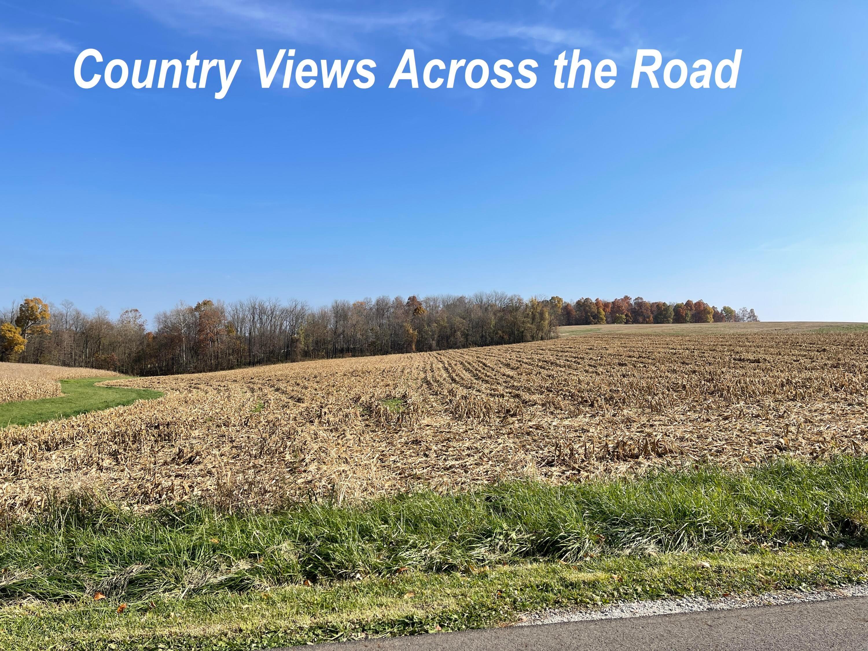 0 Magers Road, Unit LOT 39 GRE Howard, OH 43028 - Photo 4 of 4 3